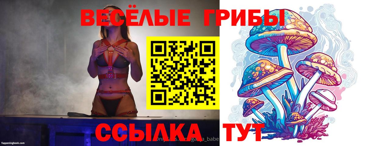 Орехово-Зуево  цены наркотик  Вход с VPN  Галлюциногенные грибы ЛСД 